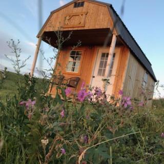 Montana Old West Cabins Babb Exterior foto